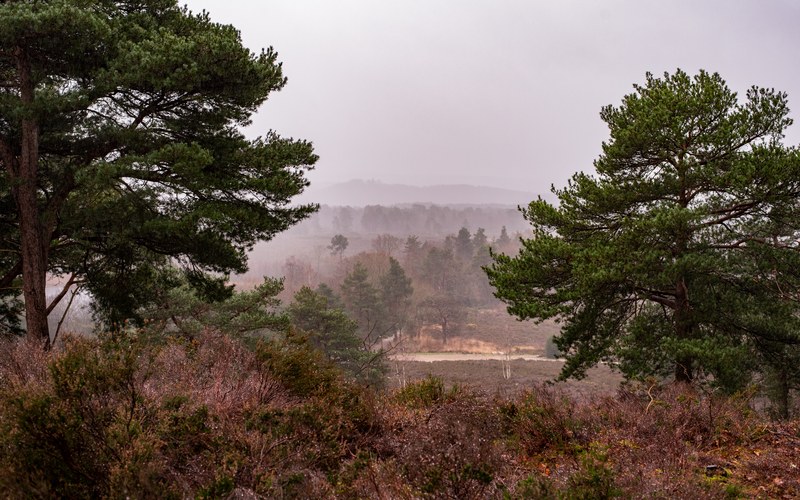 What to Read After *Wuthering Heights* (2026): 12 Atmospheric Gothic Romances for Readers Chasing the Feeling